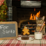 Cat and dog owners need Jamie’s Christmas list of pet poisons