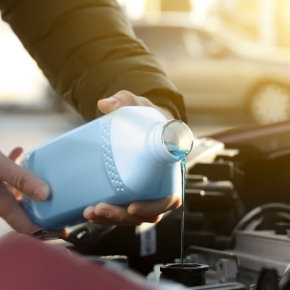 Antifreeze pet poisoning risks in Hampshire